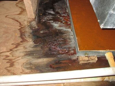 About Scottsdale Water Damage Restoration Pros - water damage restoration experts in Scottsdale